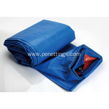Hot selling plastic pe tarpaulin for agriculture